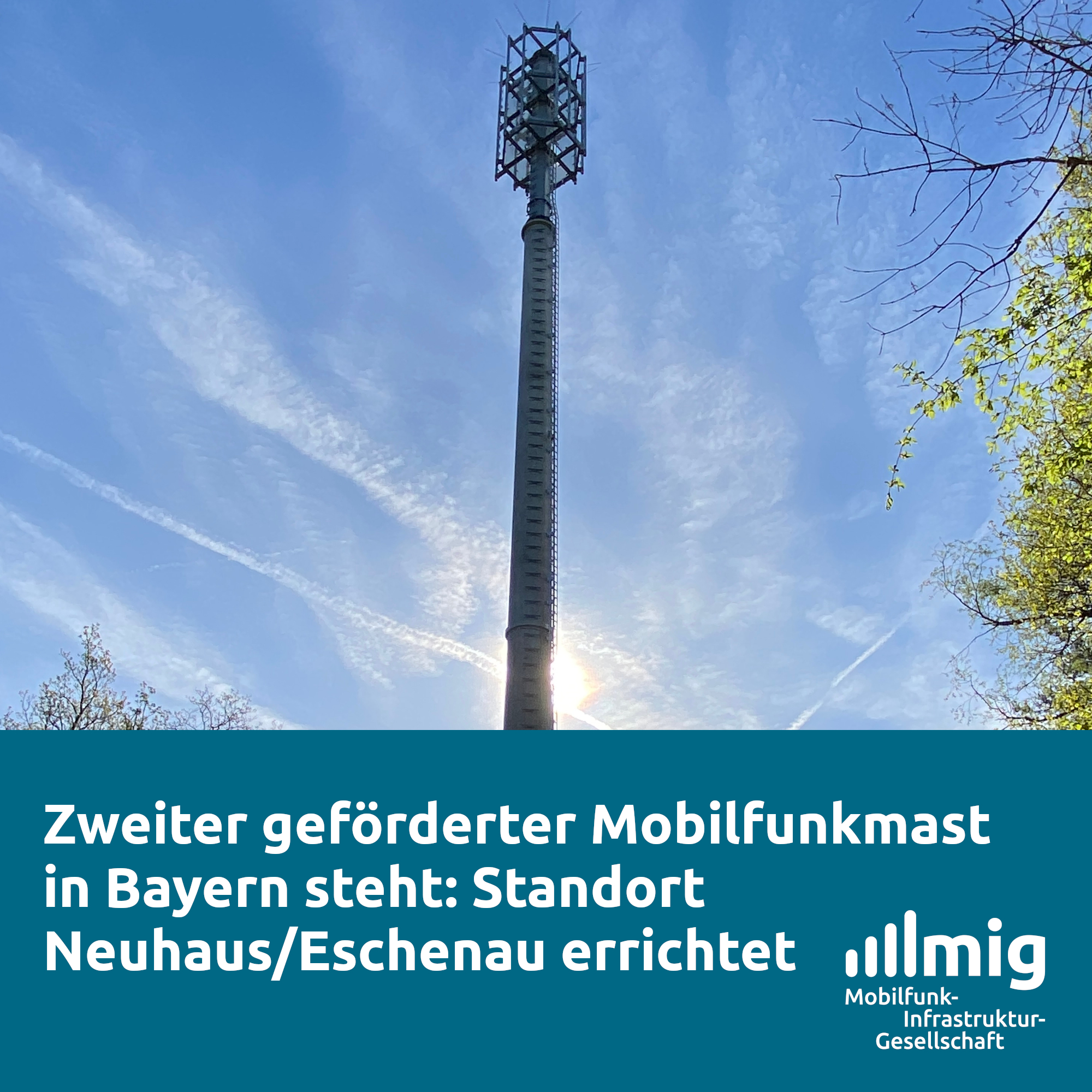 Ein Mobilfunkmast auf einer Waldlichtung vor blauem Himmel.